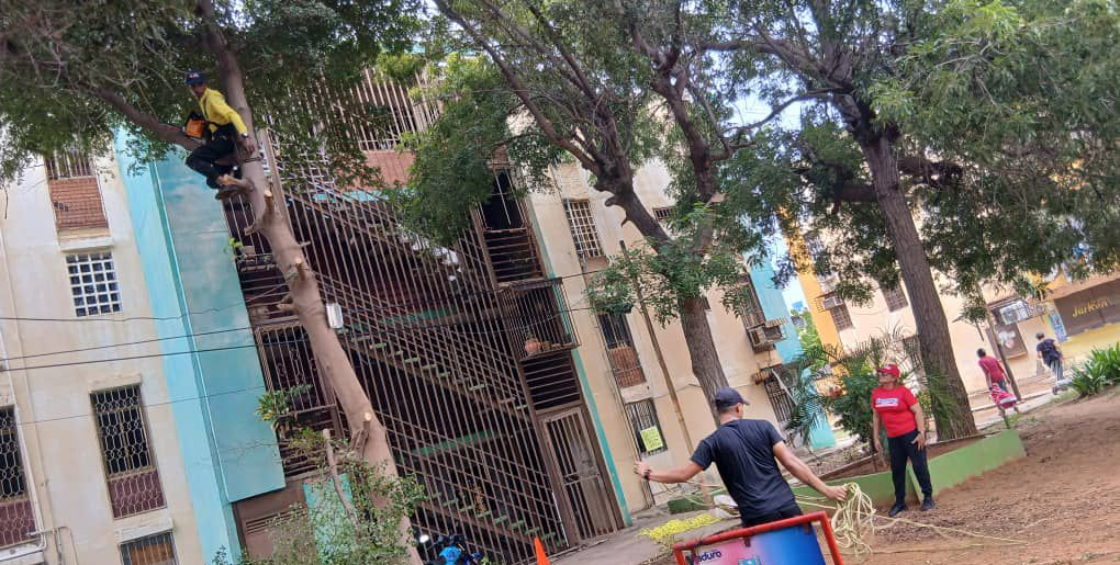 Dirección de Residencias y Urbanismos encabezó jornada de saneamiento en Francisco E. Bustamante