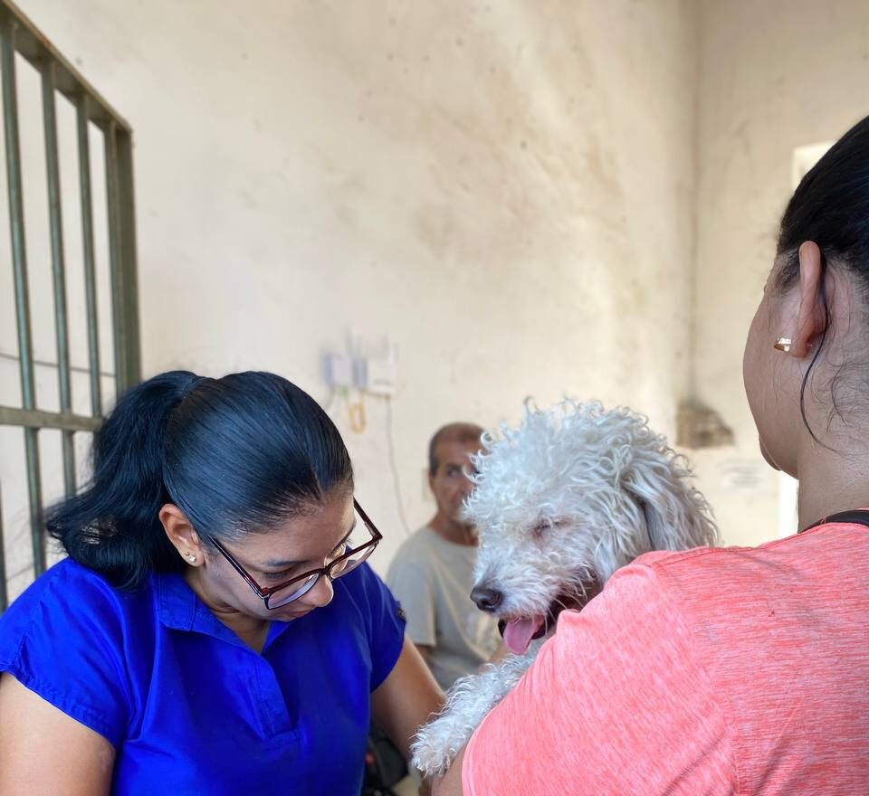 Consulta Popular del 23N viene con un Proyecto animalista para Santa Lucía