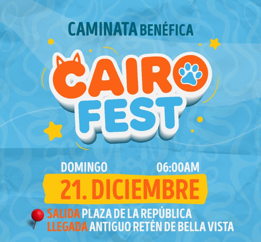 Cairo Fest en beneficio del Proyecto Cairo, organizado por el Colectivo Nevado Zulia con el apoyo de Misión Nevado