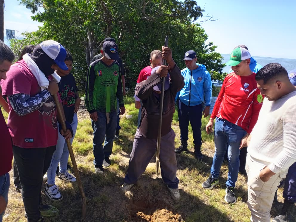 Realizan jornada de plantación de árboles en el Boulevard Costanero de Cabimas