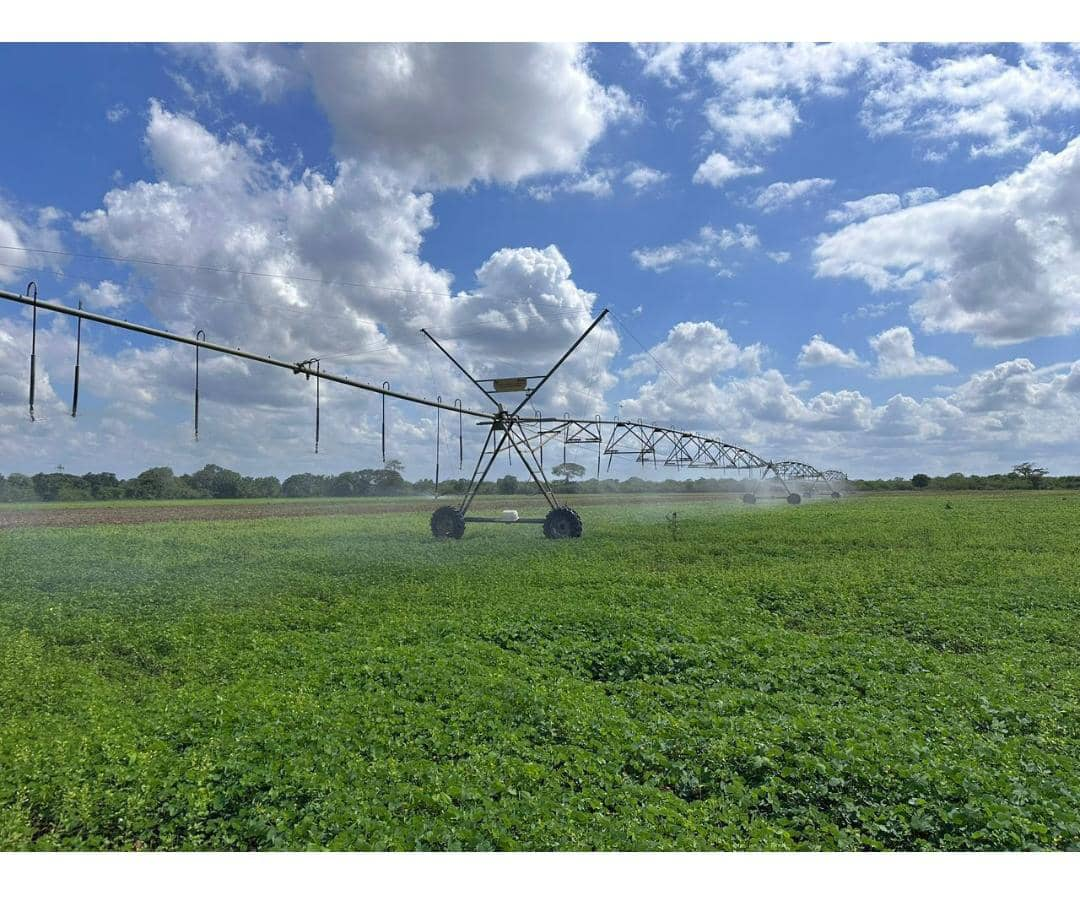 Gobernación del Zulia reactiva producción agropecuaria y afianza soberanía alimentaria en 2025