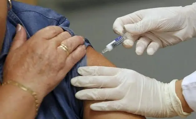 Argentina/ Recomiendan a las personas de riesgo que se vacunen ante la llegada de la gripe A (H3N2)