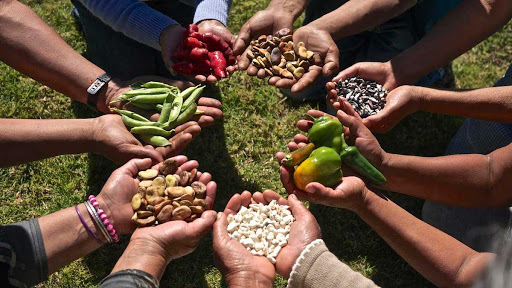 Embajadores de la FAO evalúan impacto de sanciones en la seguridad alimentaria en Venezuela