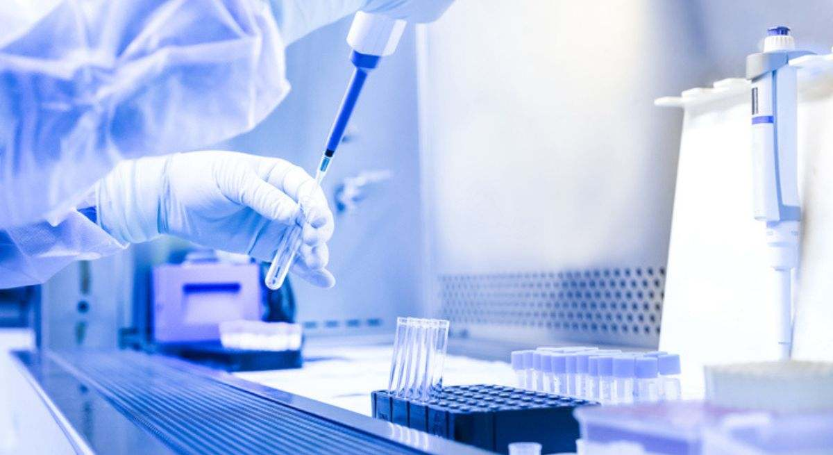Especialistas chinos hallan un tratamiento para frenar el brote del virus Nipah