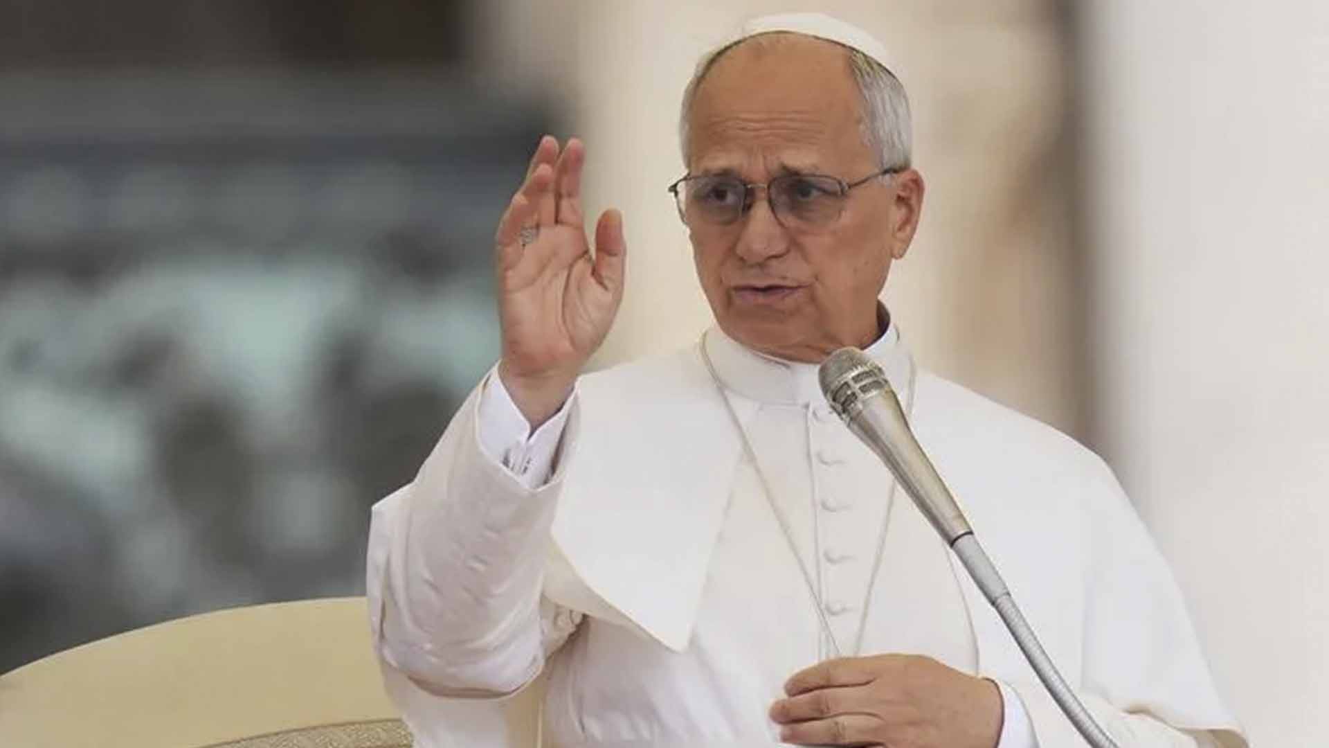 Papa León llama a asumir «responsabilidad ecológica»