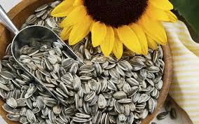 Beneficios de la semilla de girasol y como consumirla
