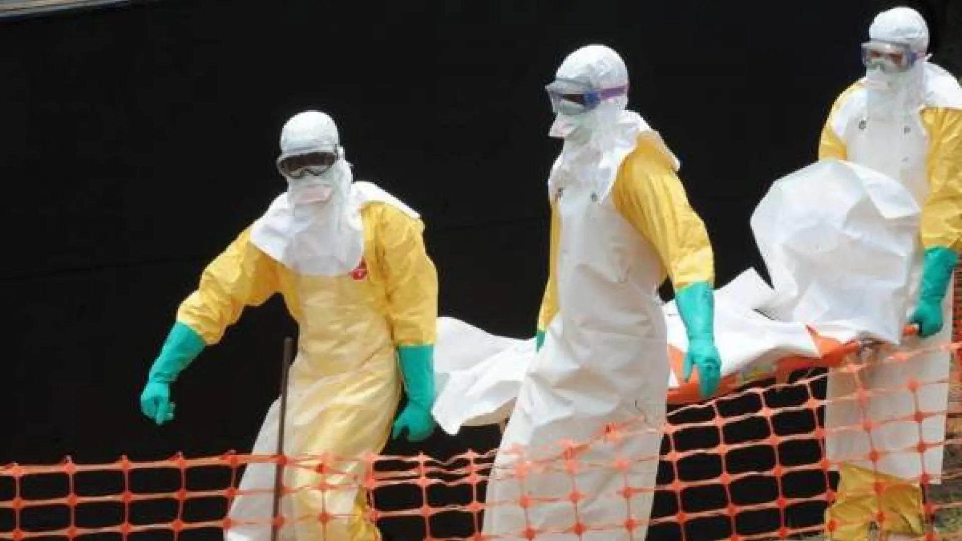 OMS teme la propagación del ébola