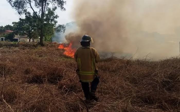 Bomberos despliega intenso operativo contra incendios forestales en Trujillo